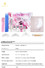 Qinmei customized semi permanent eyelash kit manufacturer bulk buy